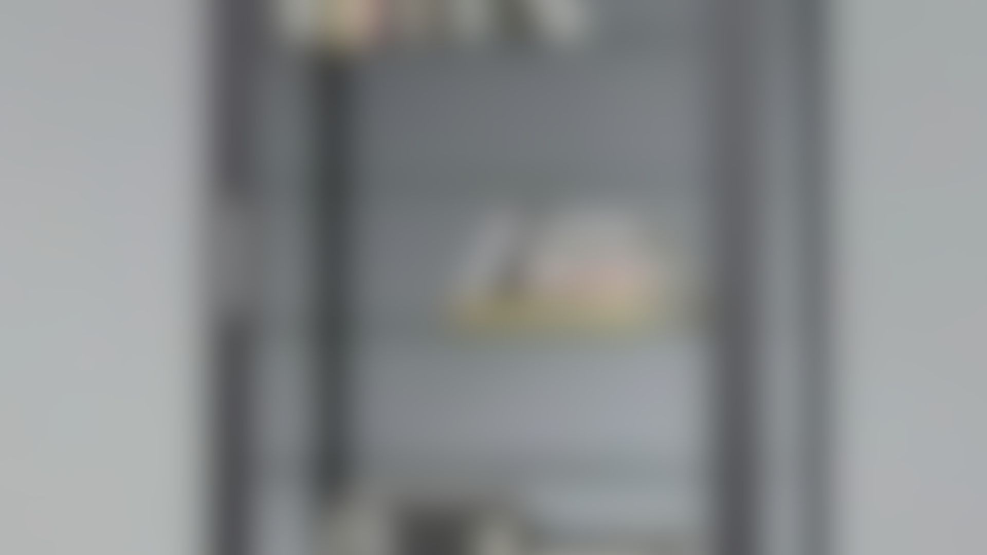 Crowdfunding Buecherschrank 2025